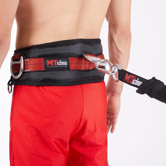 Pas motoryczny+Rezystor